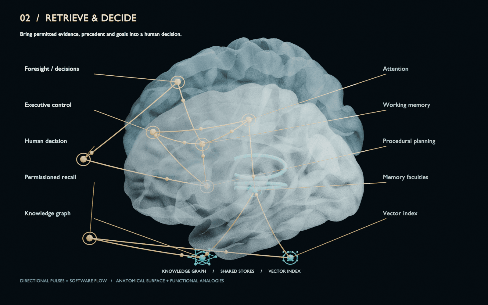 Cortical model connecting memory, attention, executive control and human decisions